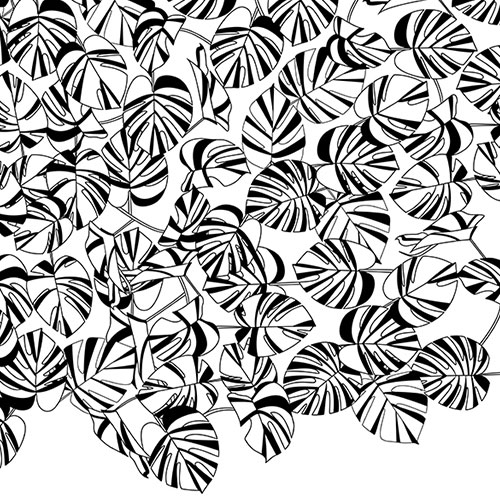 79_monstera